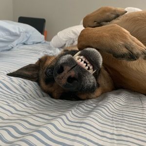 Meet your Posher, Irene